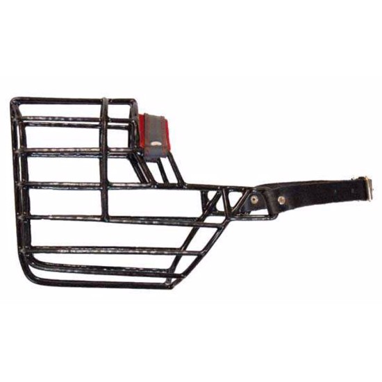 Antsnukis juodas/metalinis dobermanas beauceron šuo