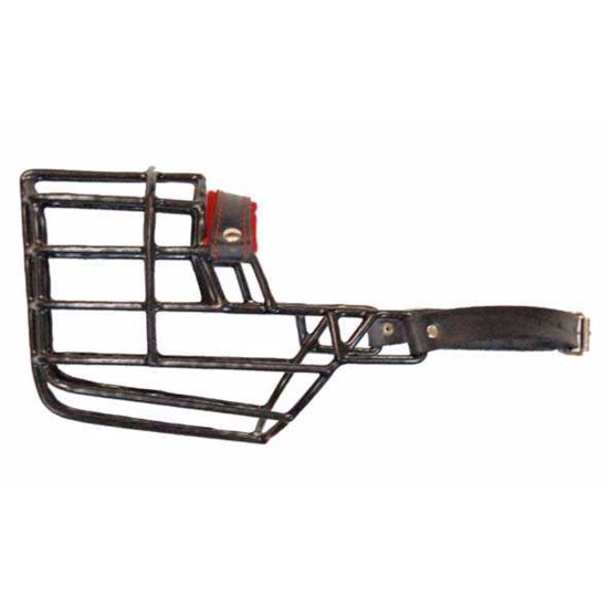 Antsnukis juodas/metalinis kolis, belgų aviganis, basetas, šuo Antsnukis juodas/metalinis kolis, belgų aviganis, basetas, šuo