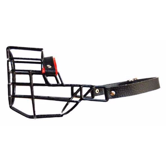 Antsnukis juodas/metalinis pitbulis labradoras čiau čiau stafordo.terjeras šuo