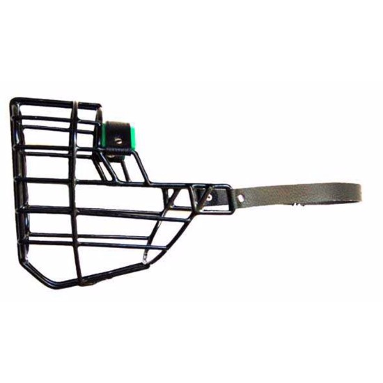 Antsnukis juodas/metalinis rotveileris braziliškas fila patelė