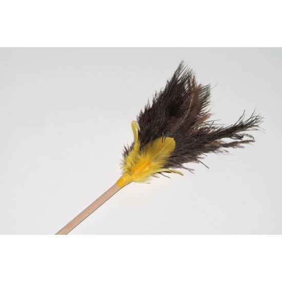 Mojuoja strutis spalvinga 55 cm