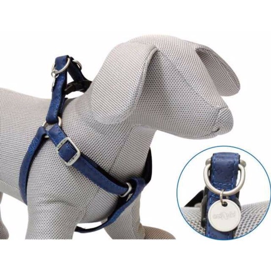 Petnešos Mylord mėlyna  2,5x60-100 cm