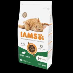 IAMS Adult Cat (ėriena) 10kg