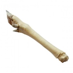 Džiovintos elnio kojos baltos (2vnt)