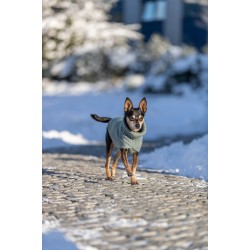 Trixie CityStyle Berlin megztinis, XS: 24 cm, šalavijo