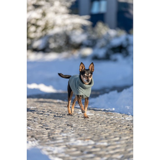 Trixie CityStyle Berlin megztinis, XS: 24 cm, šalavijo