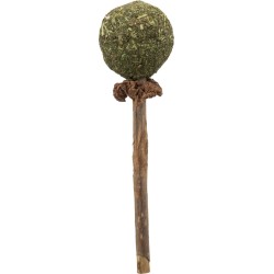 Trixie Matatabi žaislas katei lazdelė su katžolės kamuoliuku, 11 cm