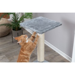 Trixie Baena draskyklė stulpas, 69 cm, pilka