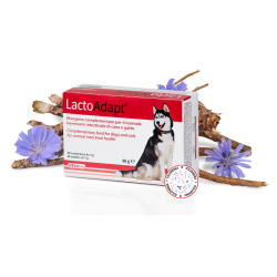 DOGOTEKA LactoAdapt 60 tabl.