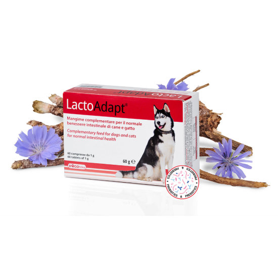 DOGOTEKA LactoAdapt 60 tabl.