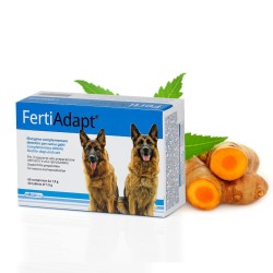 DOGOTEKA FertiAdapt 60tabl.