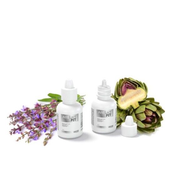DOGOTEKA AntiLact Pet 50ml