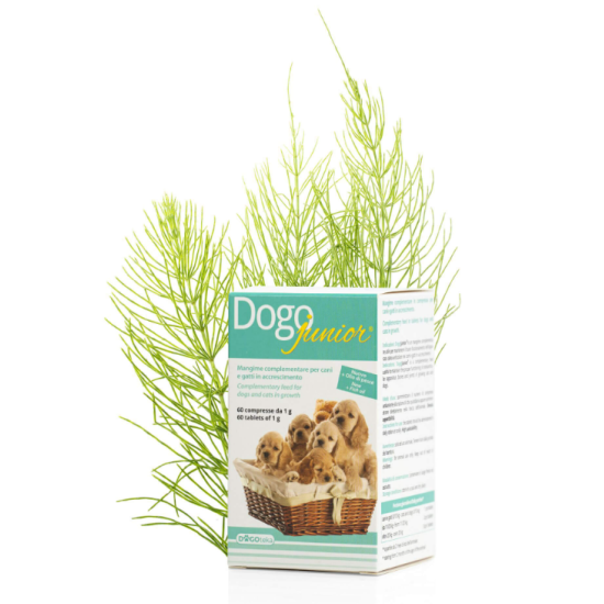 DG36400 DOGOTEKA DOGOjunior 60 tabl.