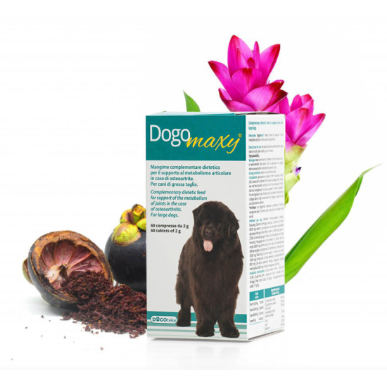 DG36386 DOGOTEKA DOGOmaxy 60 tabl.