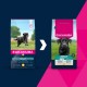 E01955 Euk Adult Large Breed Maintenance 15 kg