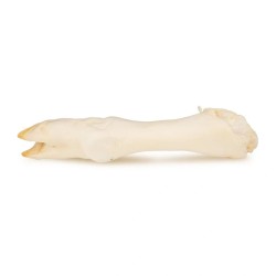 HM-8422 Hau&Miau Puzzo Snack, ėriuko kojos baltos, 150g (pak20)