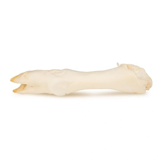 HM-8422 Hau&Miau Puzzo Snack, ėriuko kojos baltos, 150g (pak20)