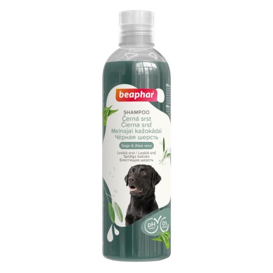 B138401 Beaphar Black Coat Shampoo Dog, 250ml (pak6)