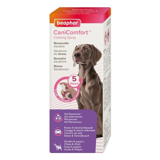 B174171 Beaphar CANICOMFORT SPRAY 60ML