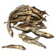 R70622 RDF-4002 REAL DOG SNACKS Baltijos šprotai 200g