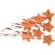TRX_926200 TRIXIE Xmas Žvaigždutė ant pagaliuko, be pakuotės, 12 cm, 14 g (pak.130)