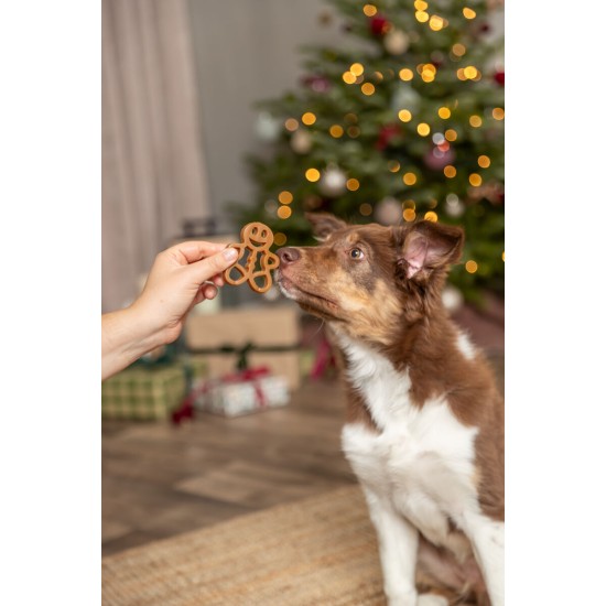 TRX_926204 TRIXIE Xmas Imbierinukas su vištienos krūtinėle, 31 g (pak.90)