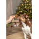 TRX_926204 TRIXIE Xmas Imbierinukas su vištienos krūtinėle, 31 g (pak.90)