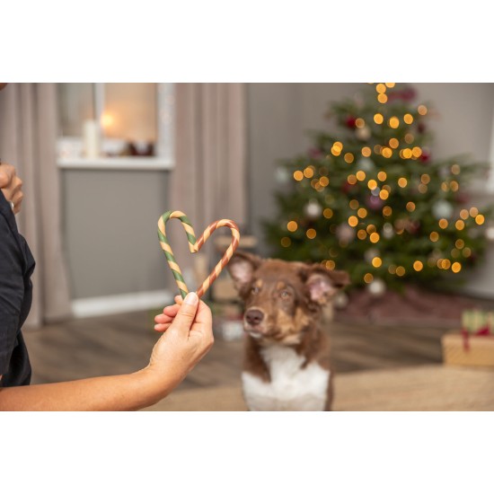 TRX_926209 TRIXIE Xmas Kalėdinė įv.skonių, 20 g (pak.150)