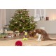 TRX_927167 TRIXIE Xmas Dinozauras, pliušas, 26 cm, su garsu (pak.3)