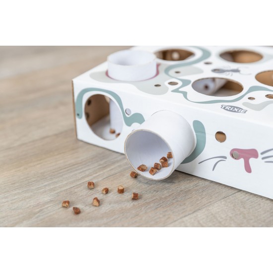 3.5_45930 TRIXIE Cat Activity Paws'n'Treats dėžė, kartonas, 35 × 7 × 20 cm
