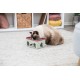 3.5_45896 TRIXIE Cat Activity Rod Box strateginis žaidimas, 20x12x16 cm