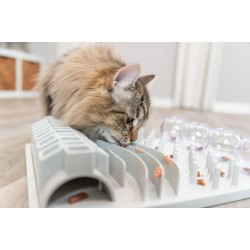3.5_4590 TRIXIE Cat Activity Fun Board strateginis žaidimas, 30x40 cm